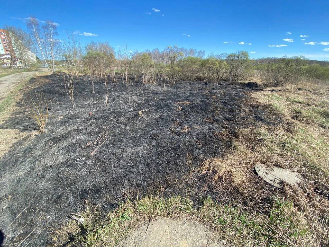 Малолетних поджигателей травы поймали в Зеленогорске