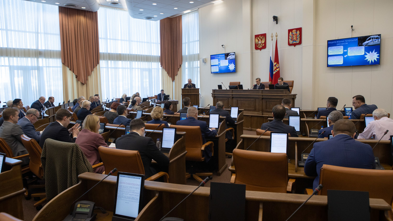Депутаты ЗС рассказали о поддержке краевой экономики и граждан в условиях санкций
