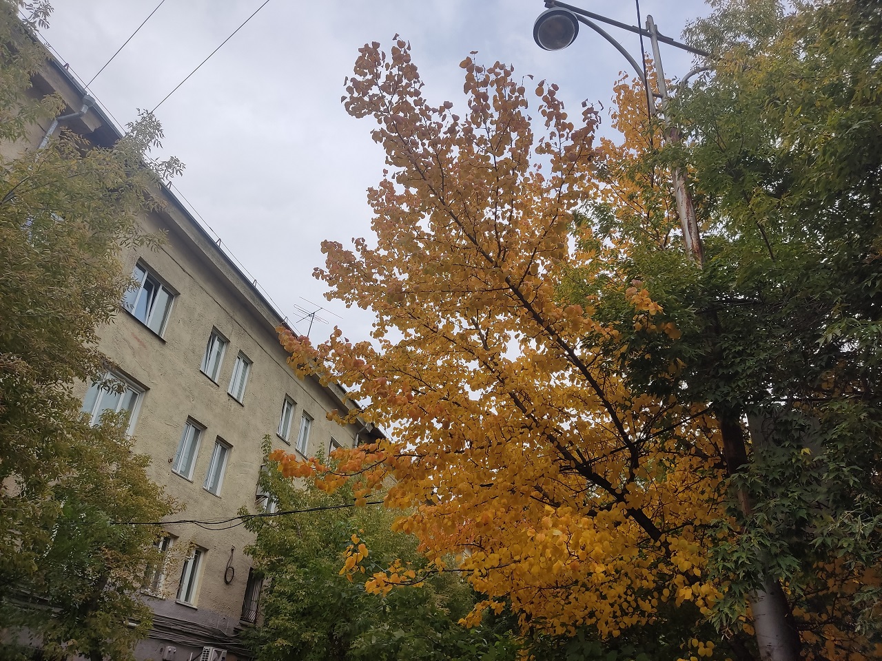 Погода осени в Красноярске