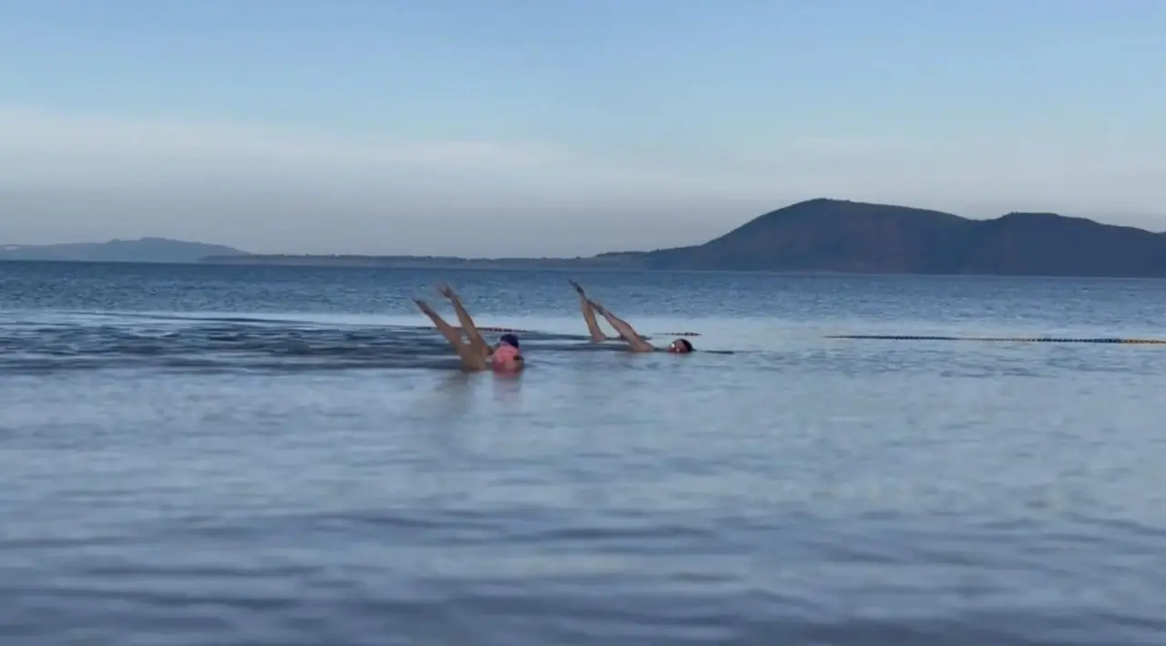 Заплыв на Красноярском водохранилище