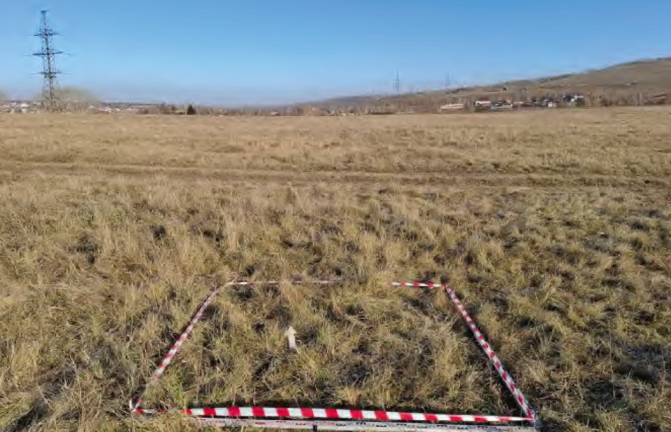 Поля за Северным шоссе