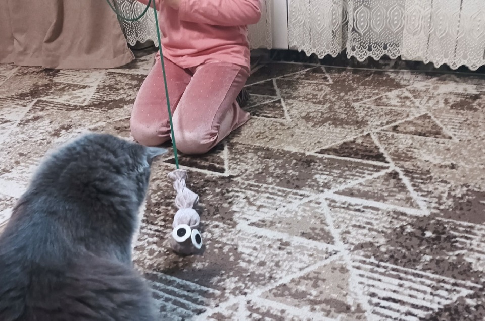 Кошка с игрушкой