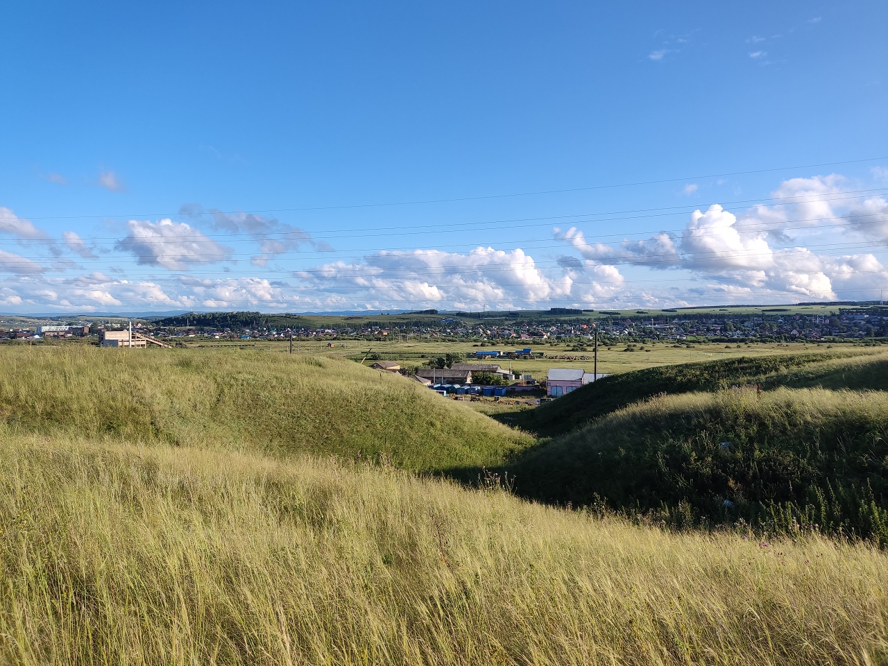 Поля в Емельяновском округе