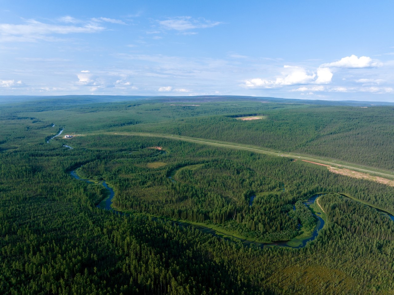 леса в Сибири с высоты