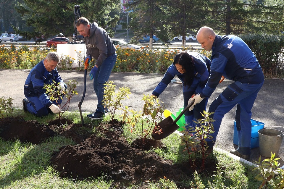 речники высаживают деревья в Красноярске