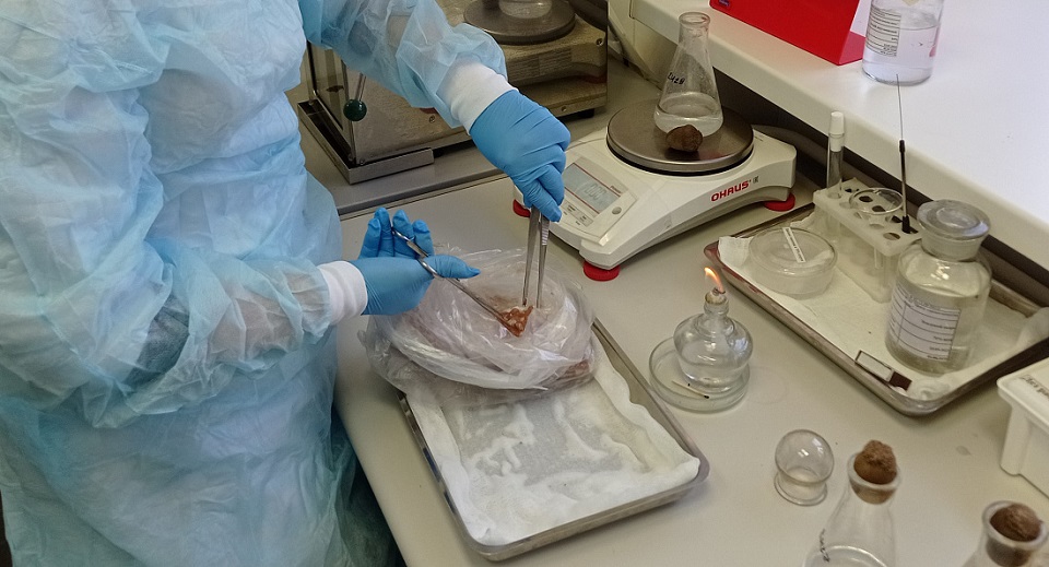 Продукты анализировали в аттестованной лаборатории