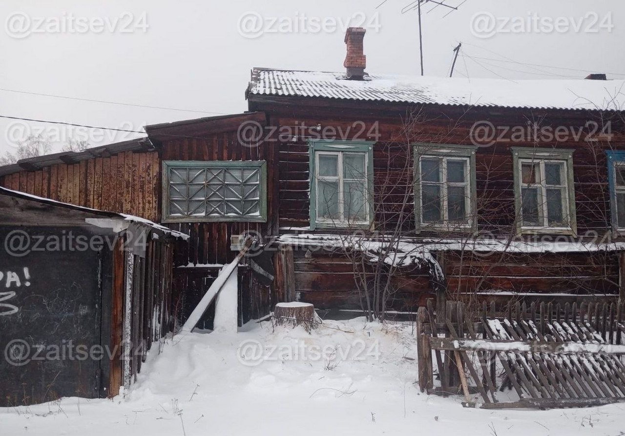 В крае чиновники спилили родовую ель у дома женщины и поставили на площади