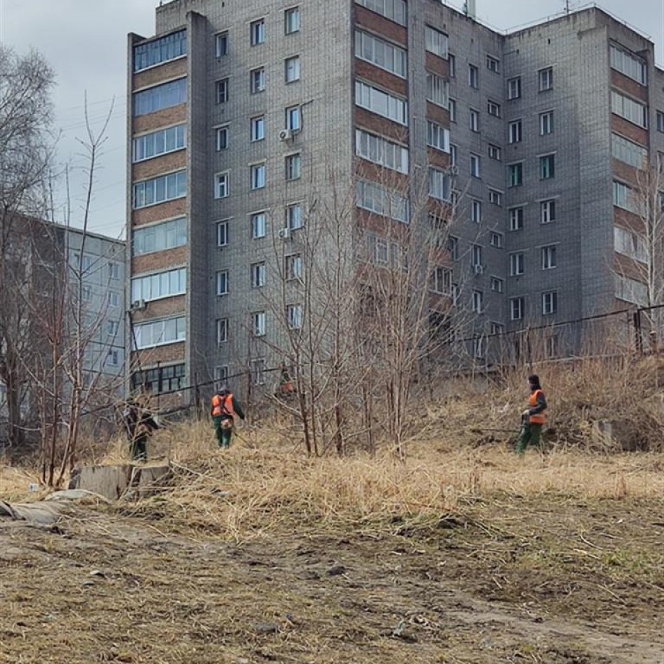 Противопожарные покосы в Красноярске