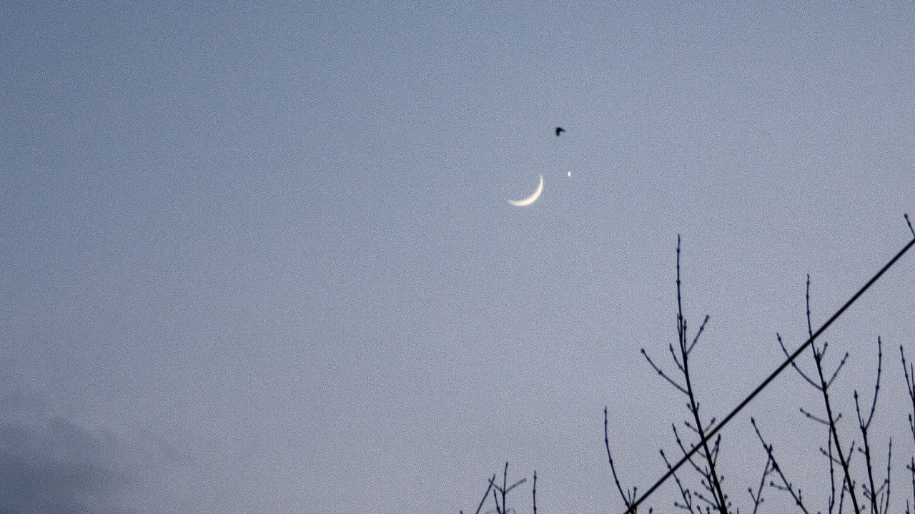 Красноярцы поделились снимками соединения Луны и Венеры