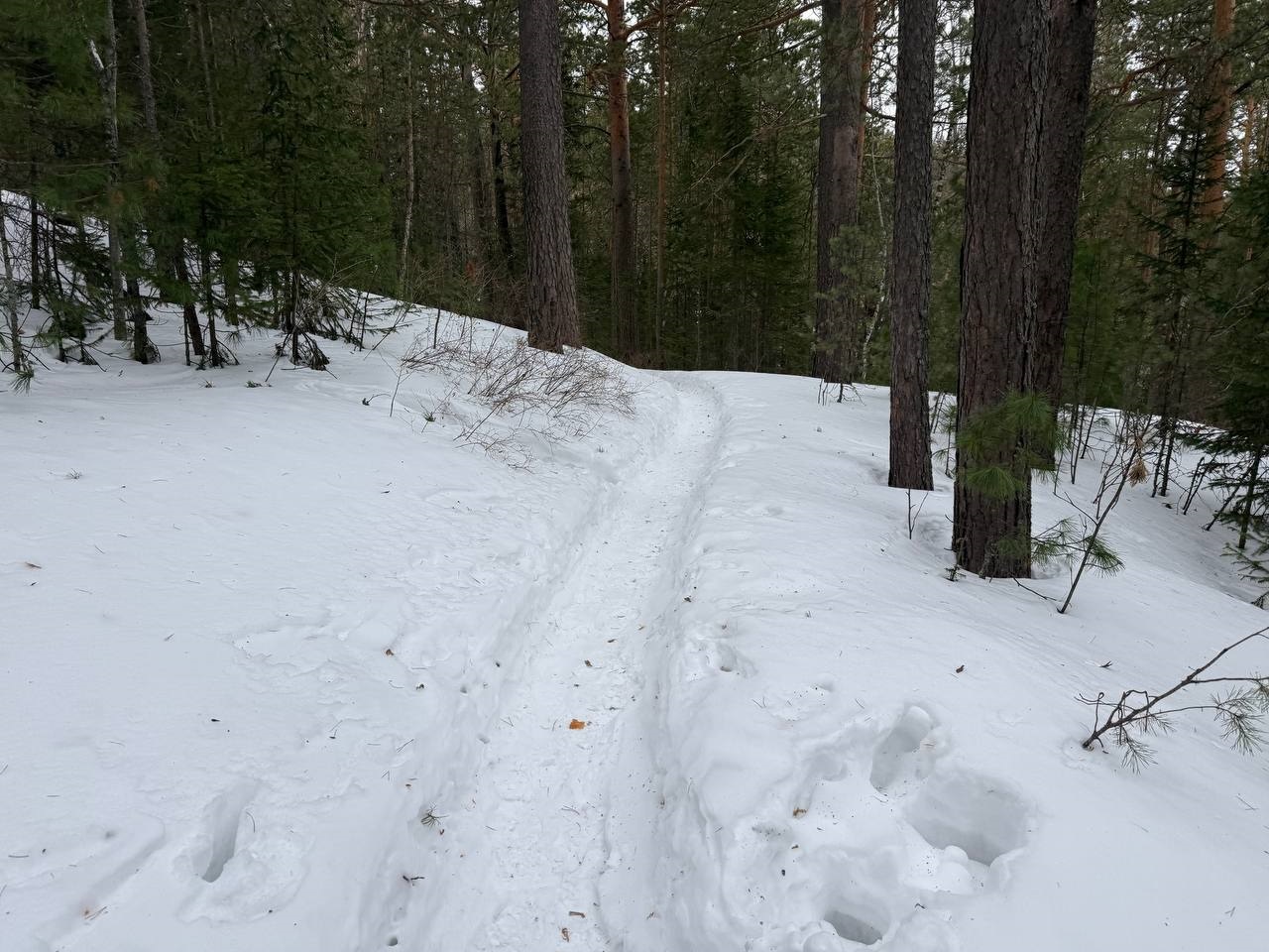 Каштаковская тропа на Столбах