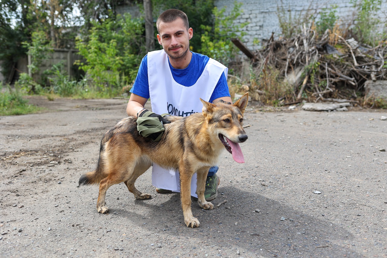 Волонтер с собакой