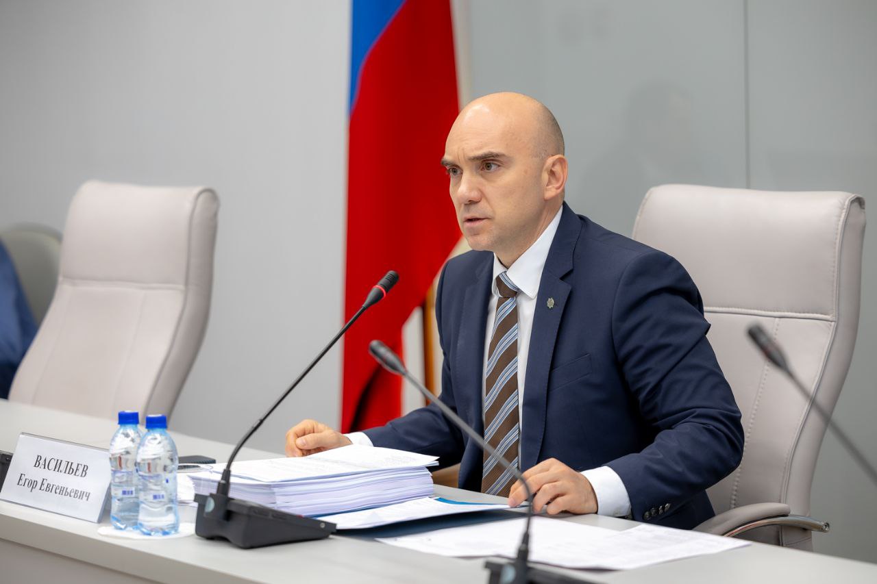 Председатель комитета Егор Васильев