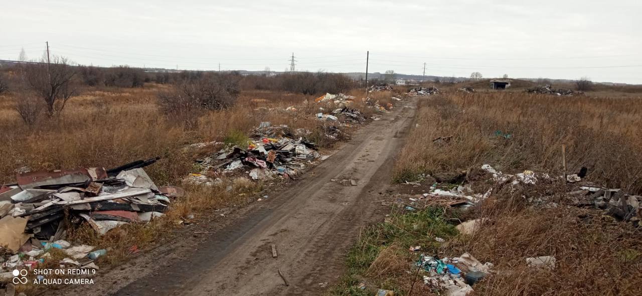 В Канске пресекли мошенничество при ликвидации свалок