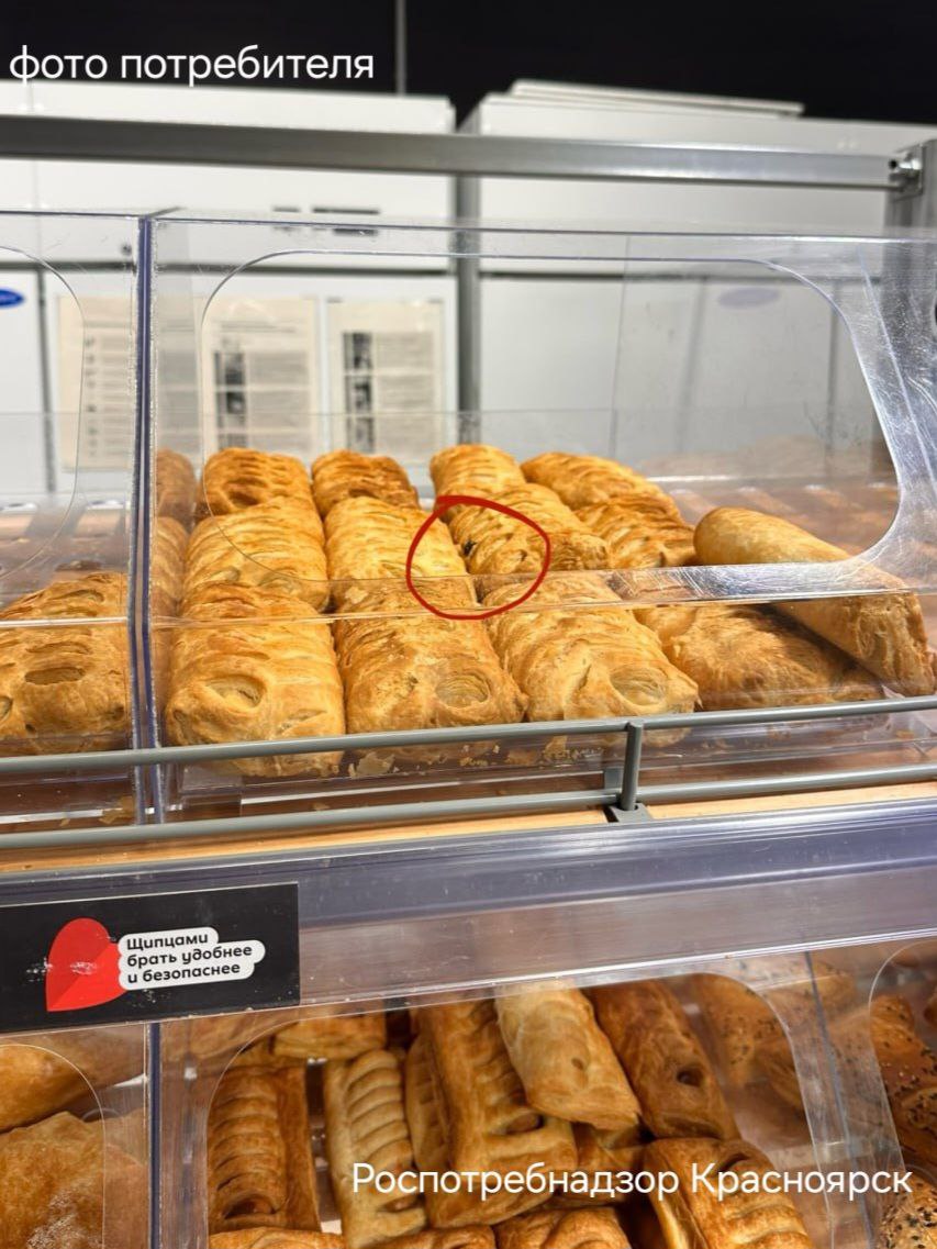 Пирожки, по которым ползали мухи