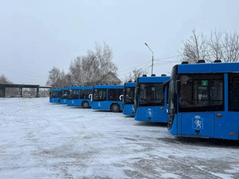 Автобусы на газе