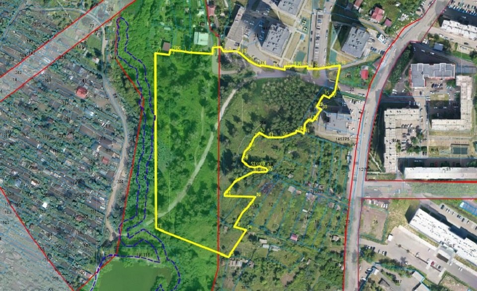 Лес на Лесопарковой вырубят ради школы