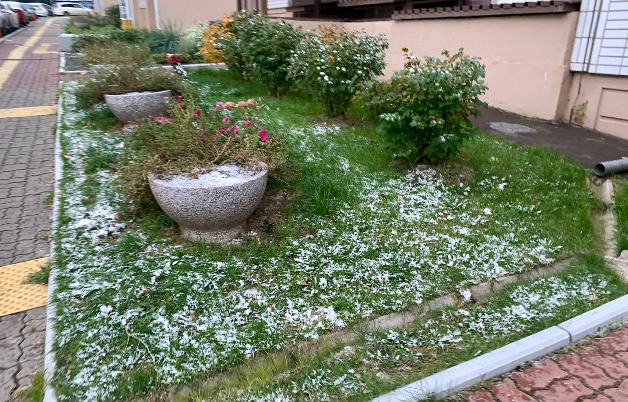 Изморозь на траве