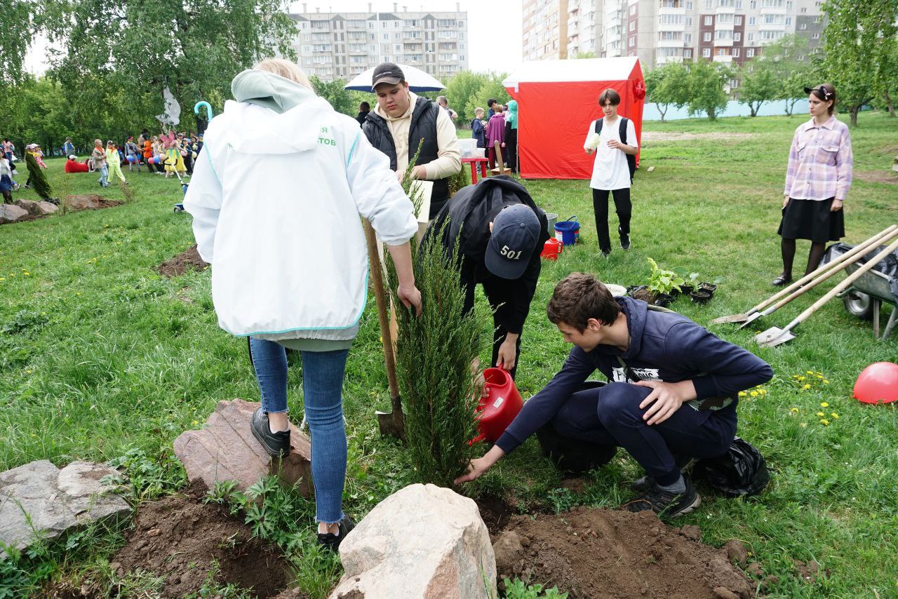 дети высаживают деревья