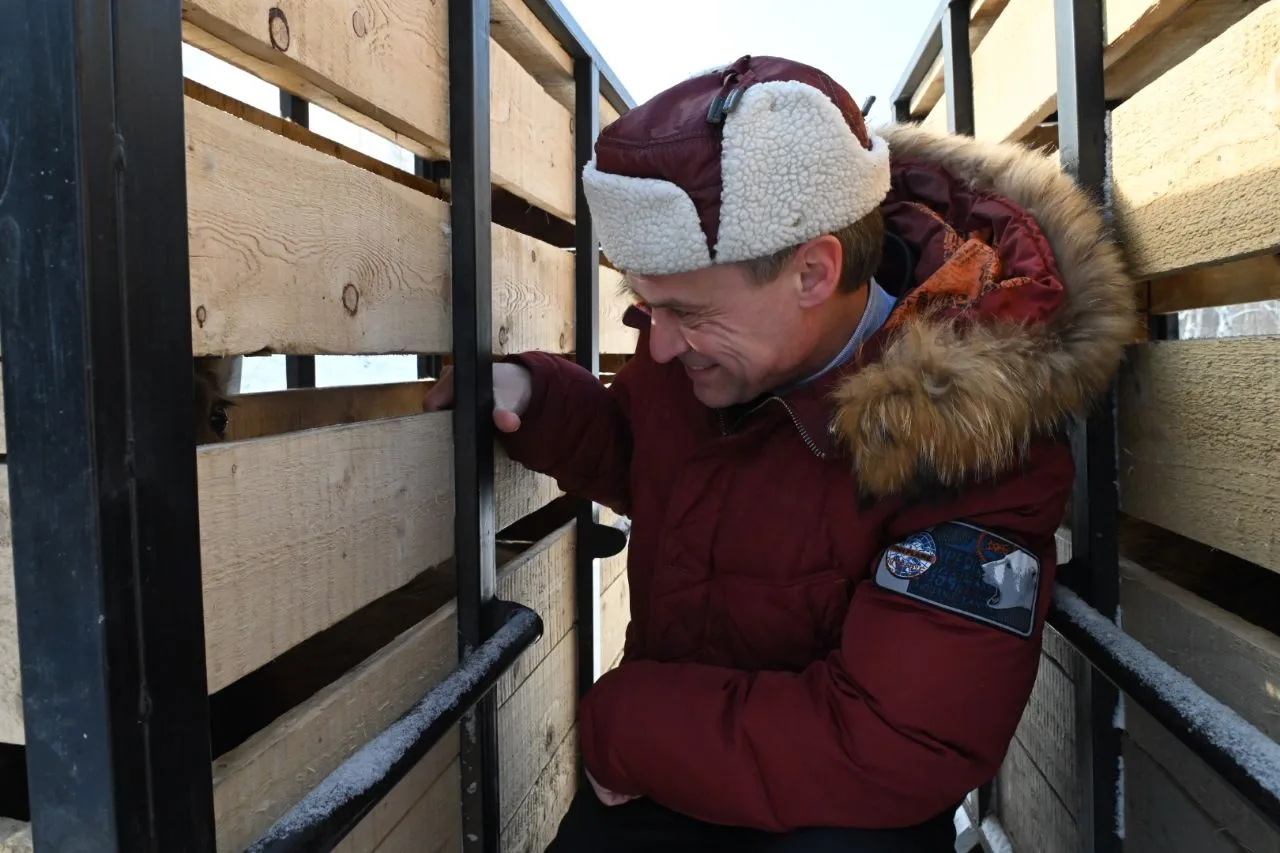 Депутат Виталий Дроздов