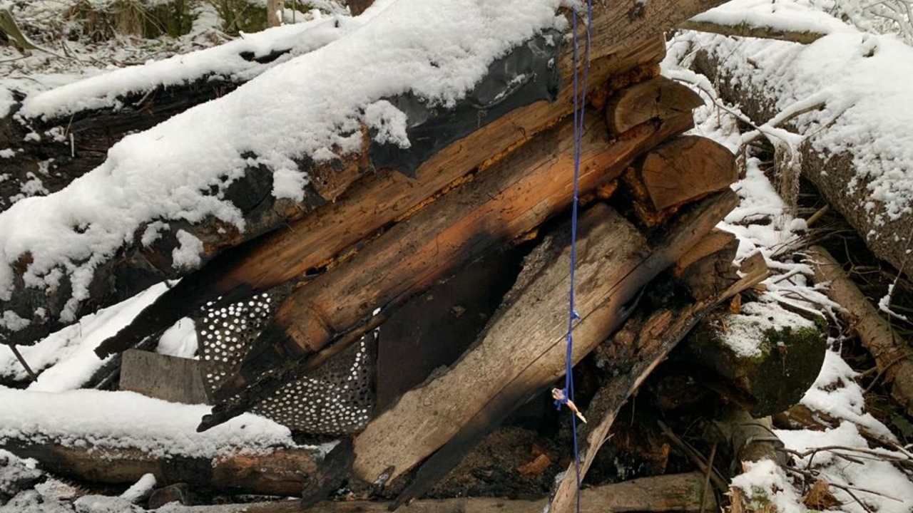 В лесу под Железногорском нашли обгоревшее тело мужчины