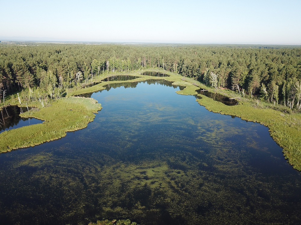 На озере Перово Ленин любил посидеть с удочкой