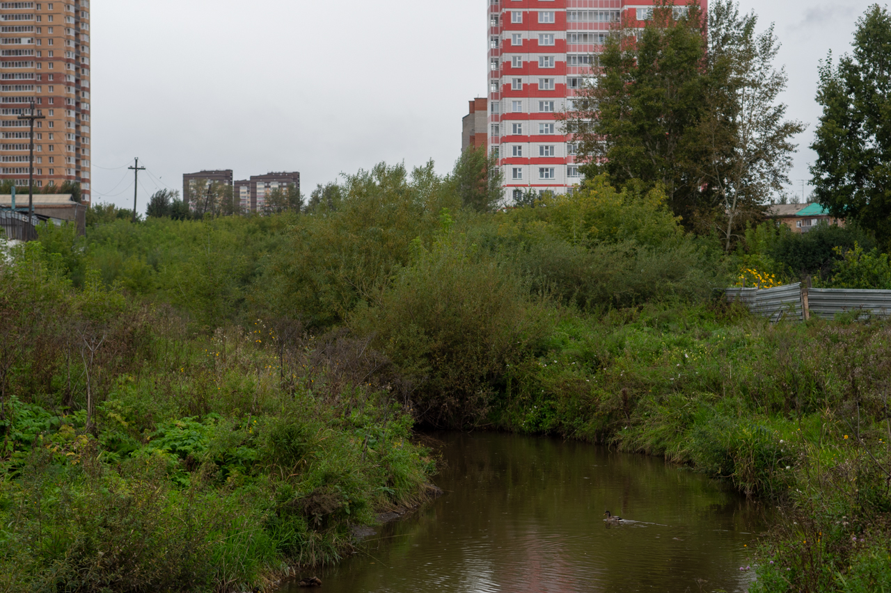 Сейчас выше от моста - сплошные заросли. Их вычистят, чтобы люди могли нормально передвигаться по району. Пока пройти можно только по ул. Калинина, но после окончания работ главной пешеходной артерией станет набережная