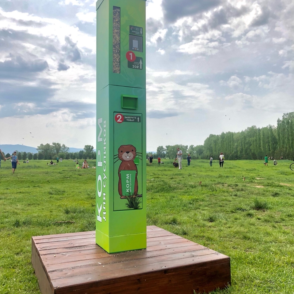 На острове Татышев в Красноярска появился автомат с кормом для сусликов