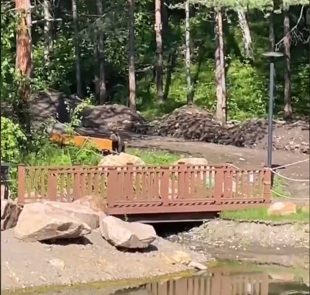 Медвежонок посетил визит-центр на Серебряниковском пруду