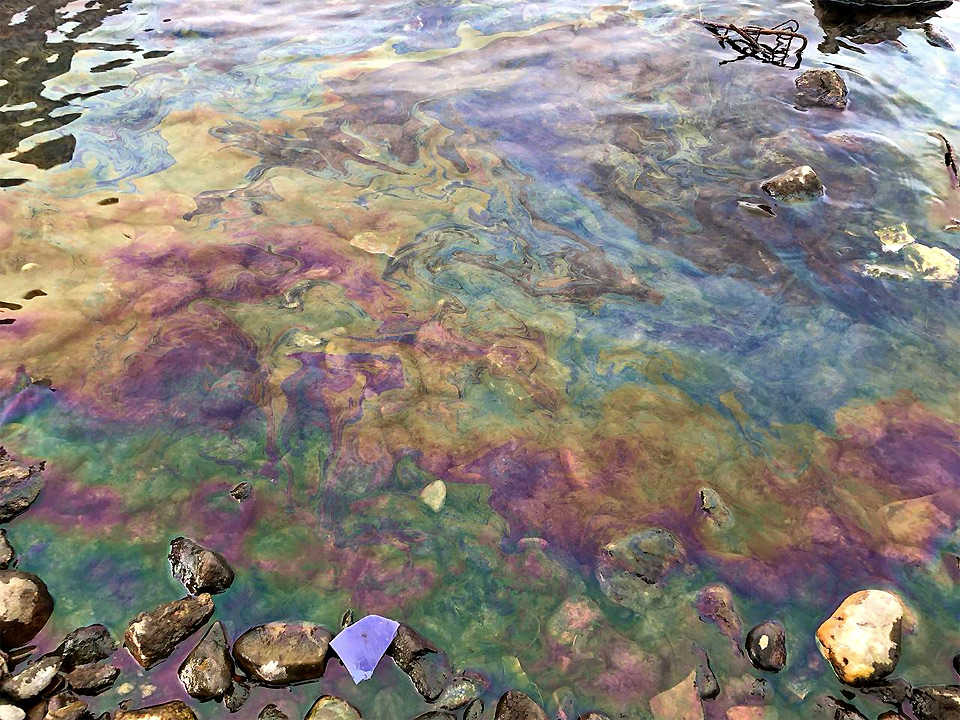 Нефтяные пятна на поверхности воды у берега на Абаканской протоке