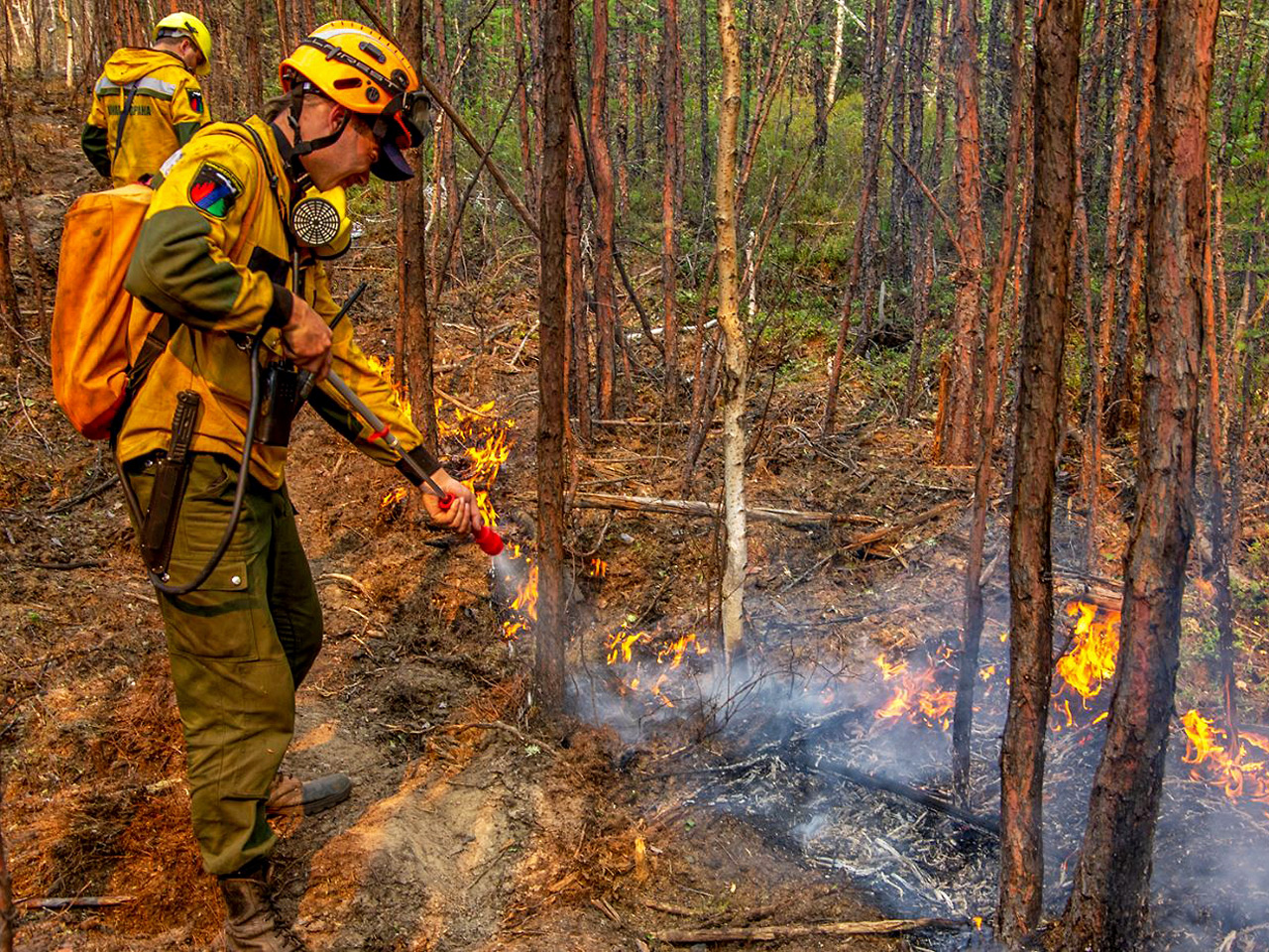 Тушение лесного пожара Красноярский край