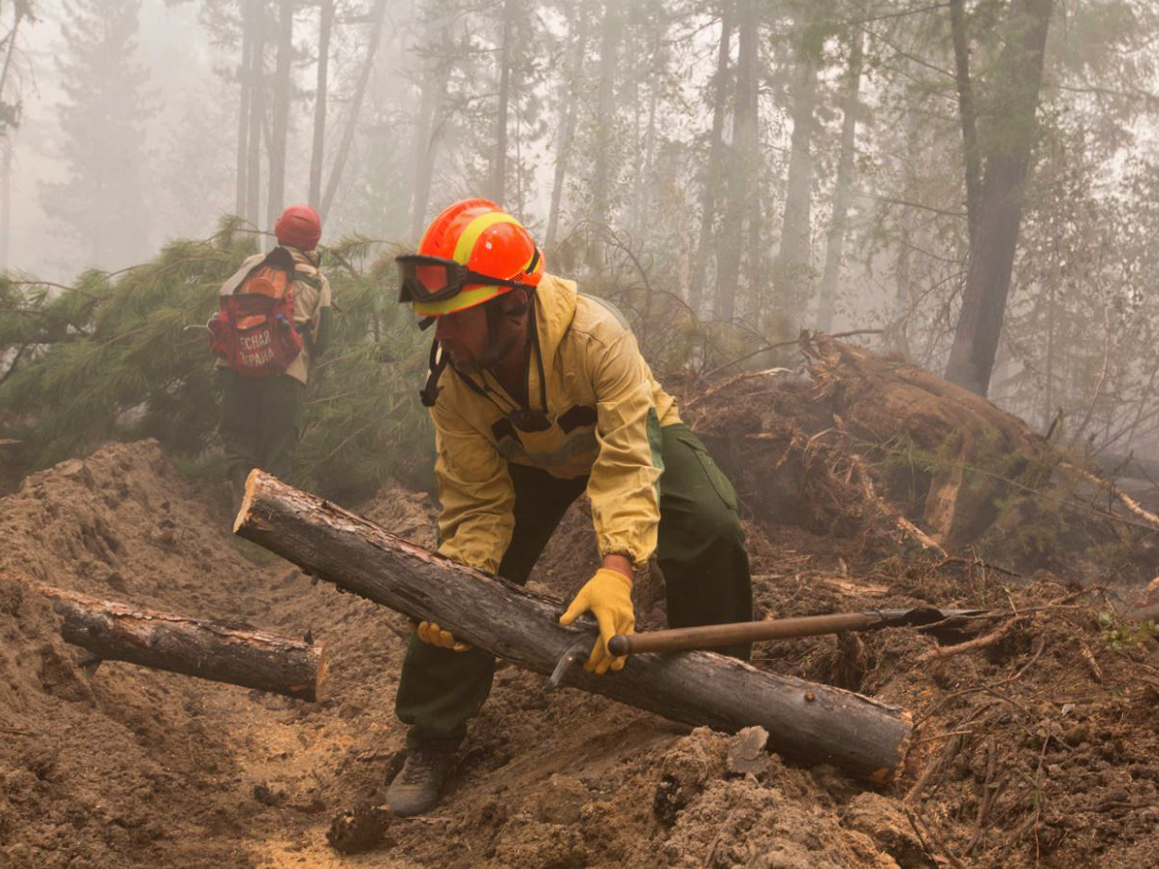 Пожарные борются с огнем в лесах