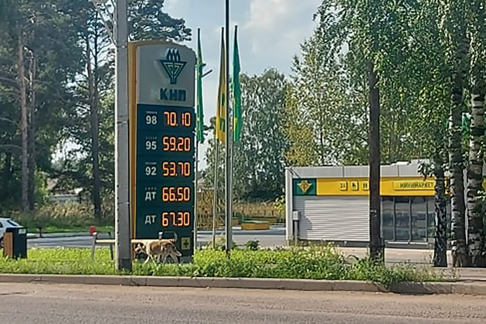 Стоимость бензина на красноярской сети КНП сегодня