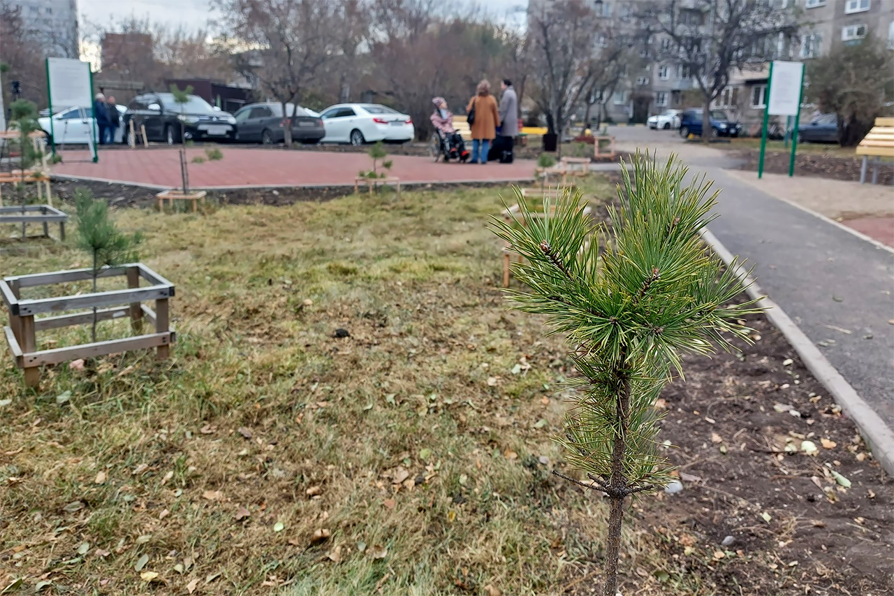Благоустройство в Красноярске