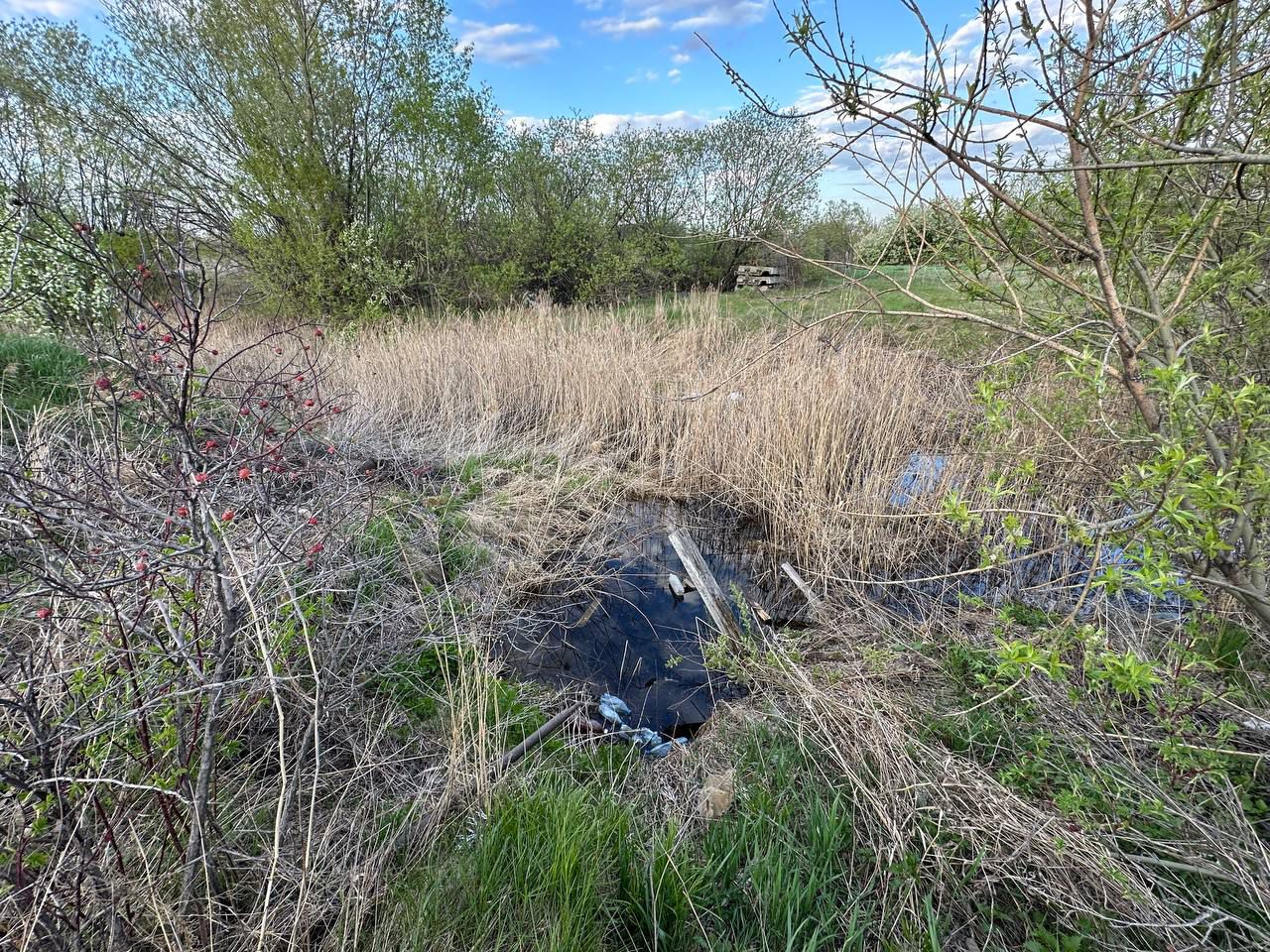 Трехлетний мальчик утонул в болоте возле дач в Ачинске