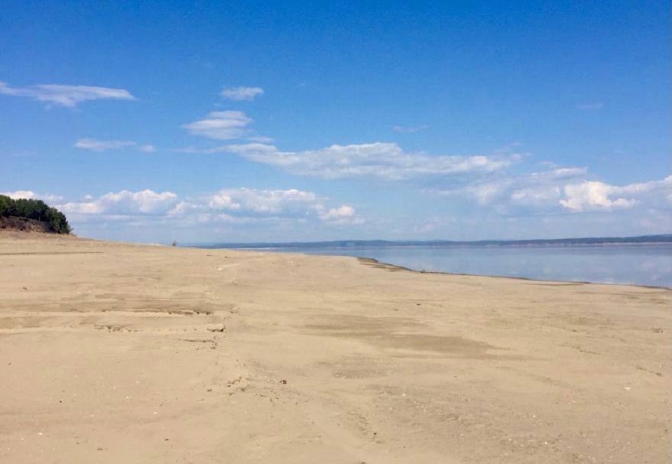 летний песочный пляж на берегу водоема