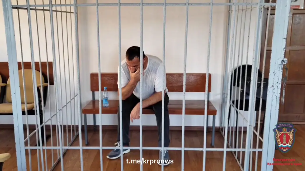 Декард Ханагян за решеткой
