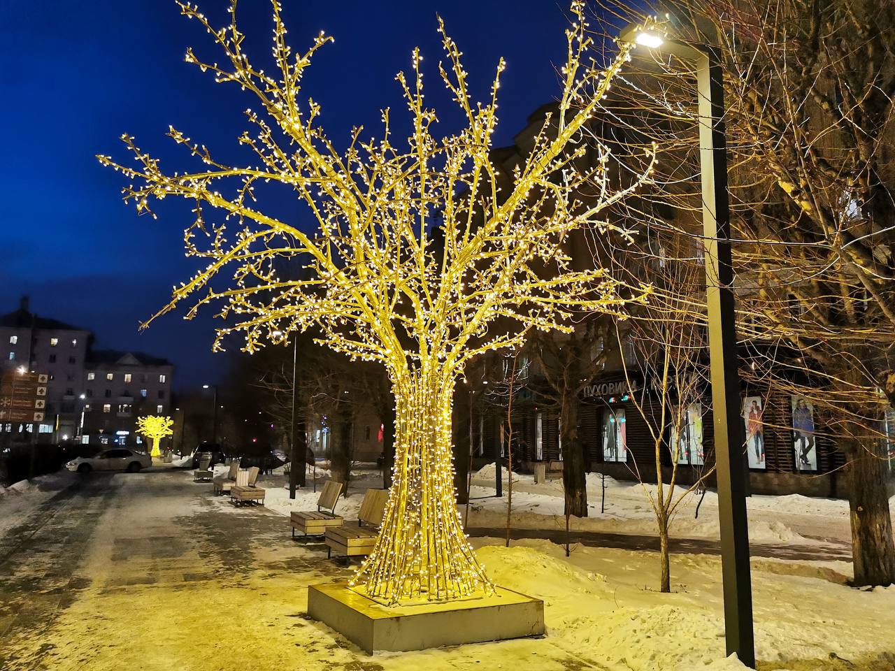 светящееся дерево на улице
