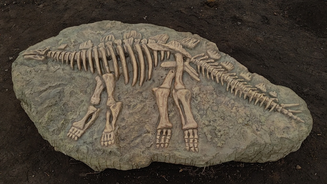 динопарк в Шарыпове