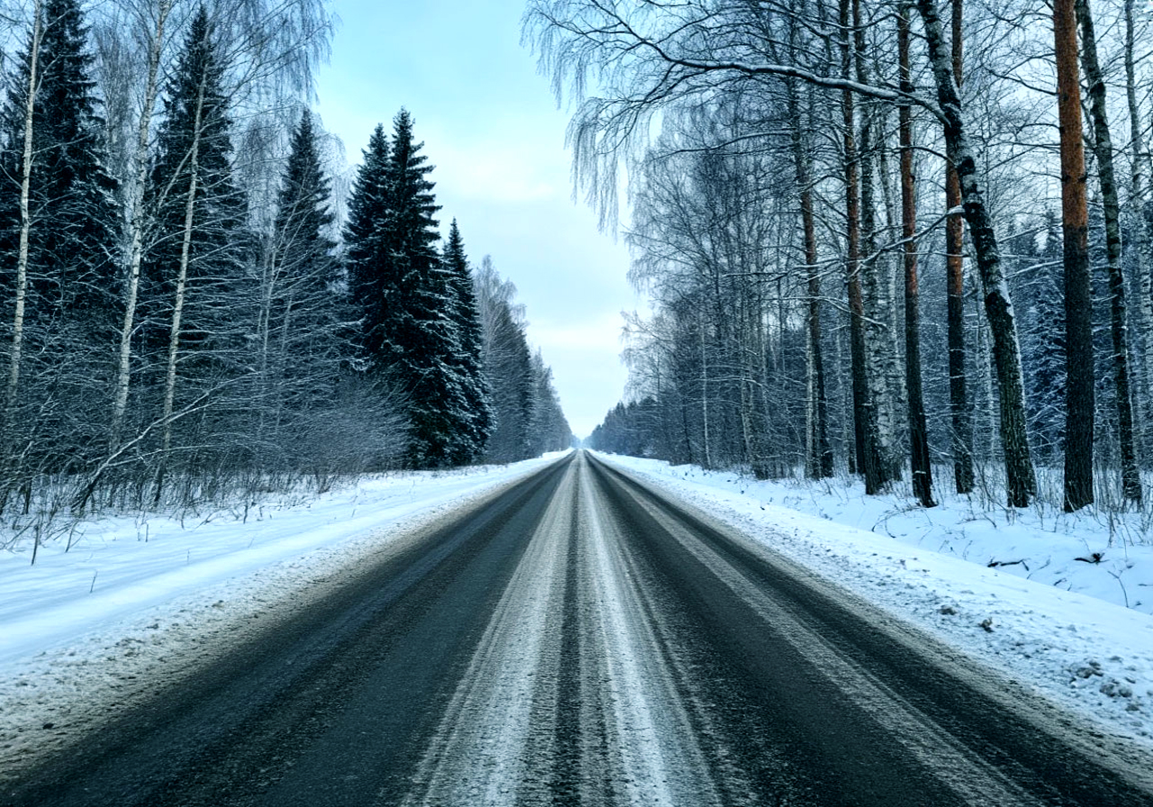 Дорога зима лес