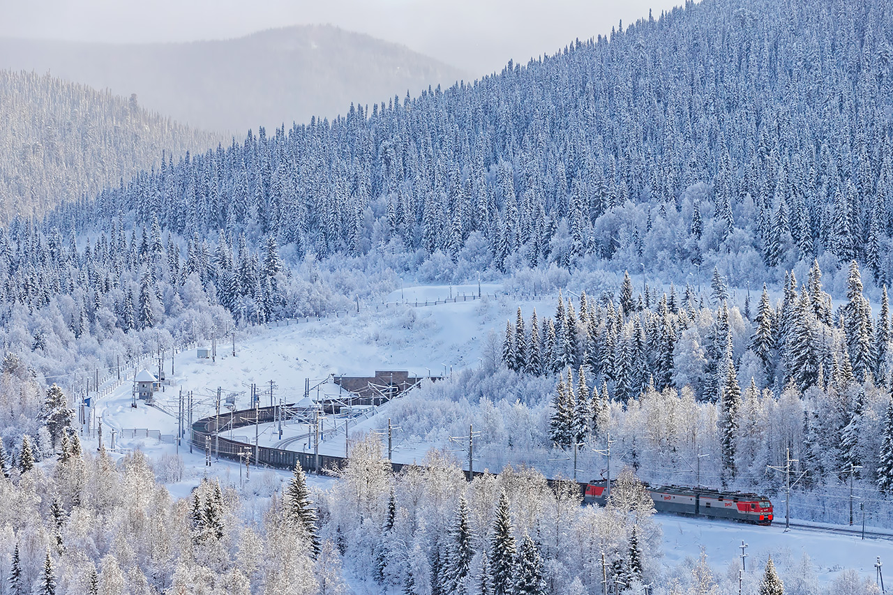 Поезд Южный ход Транссиба и заснеженные елки