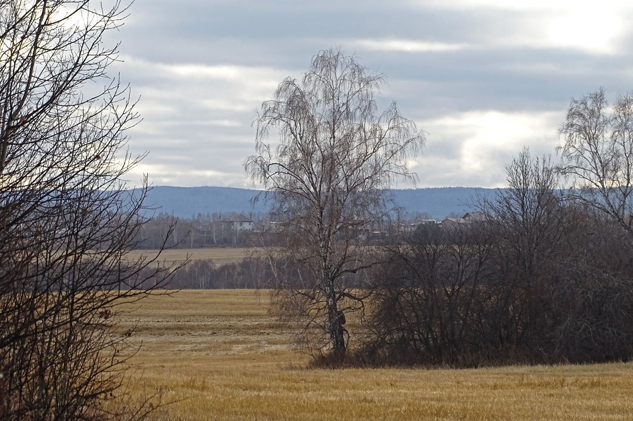 Поля за Элитой глубокая осень