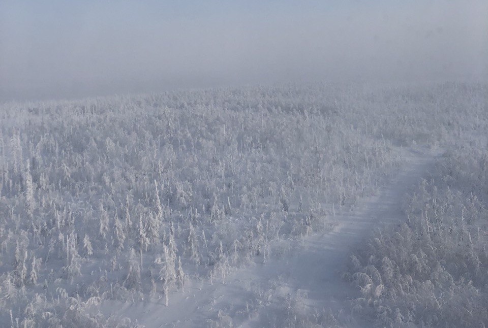 тайга в Эвенкии, зимняя тайга, Эвенкия вид сверху