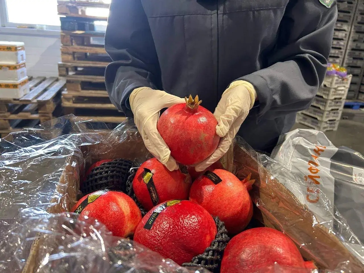 Гранаты ананасы Китая Гранаты ананасы Китая