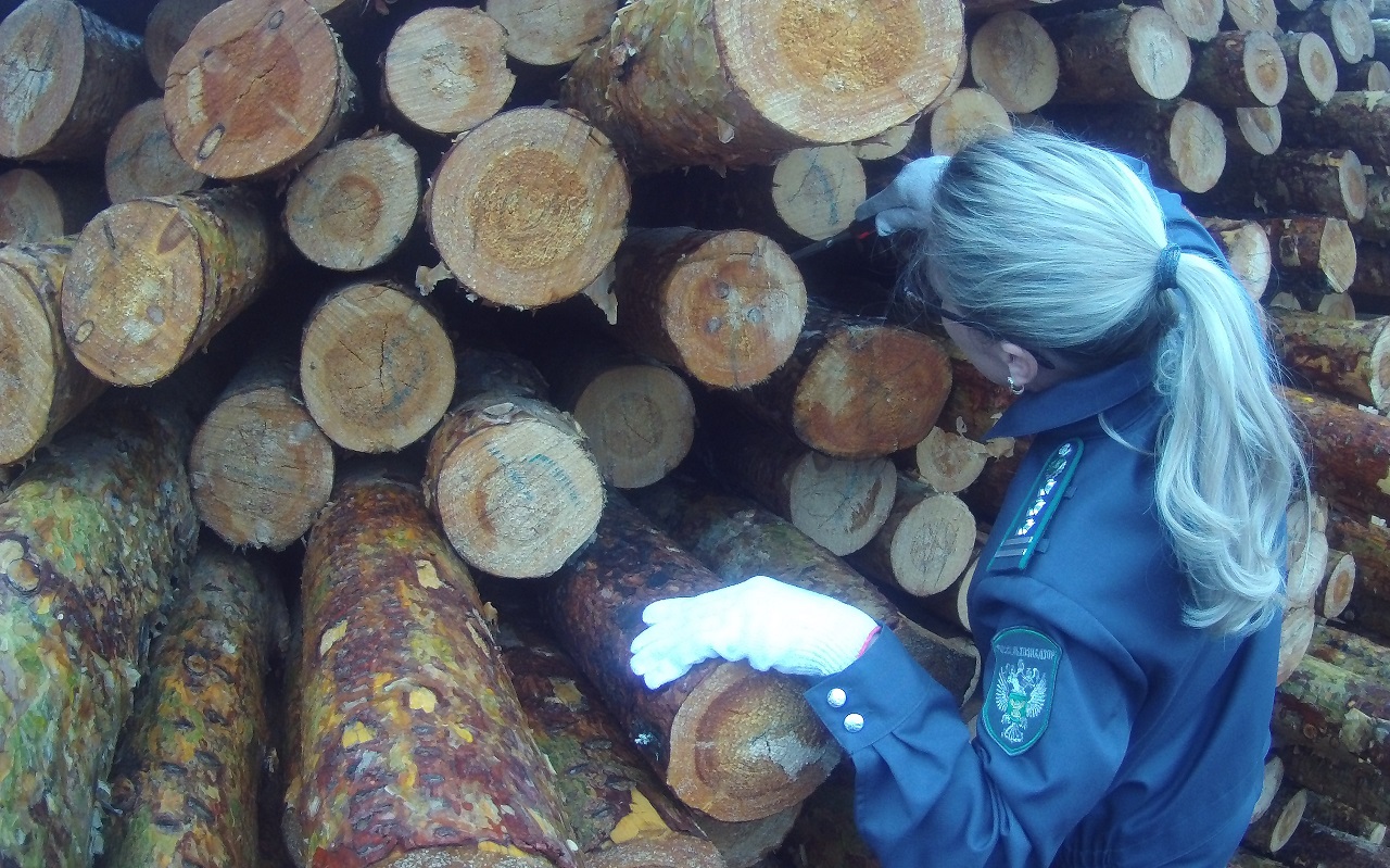 За четыре месяца из Красноярского края продали 2 млн кубометров лесопродукции