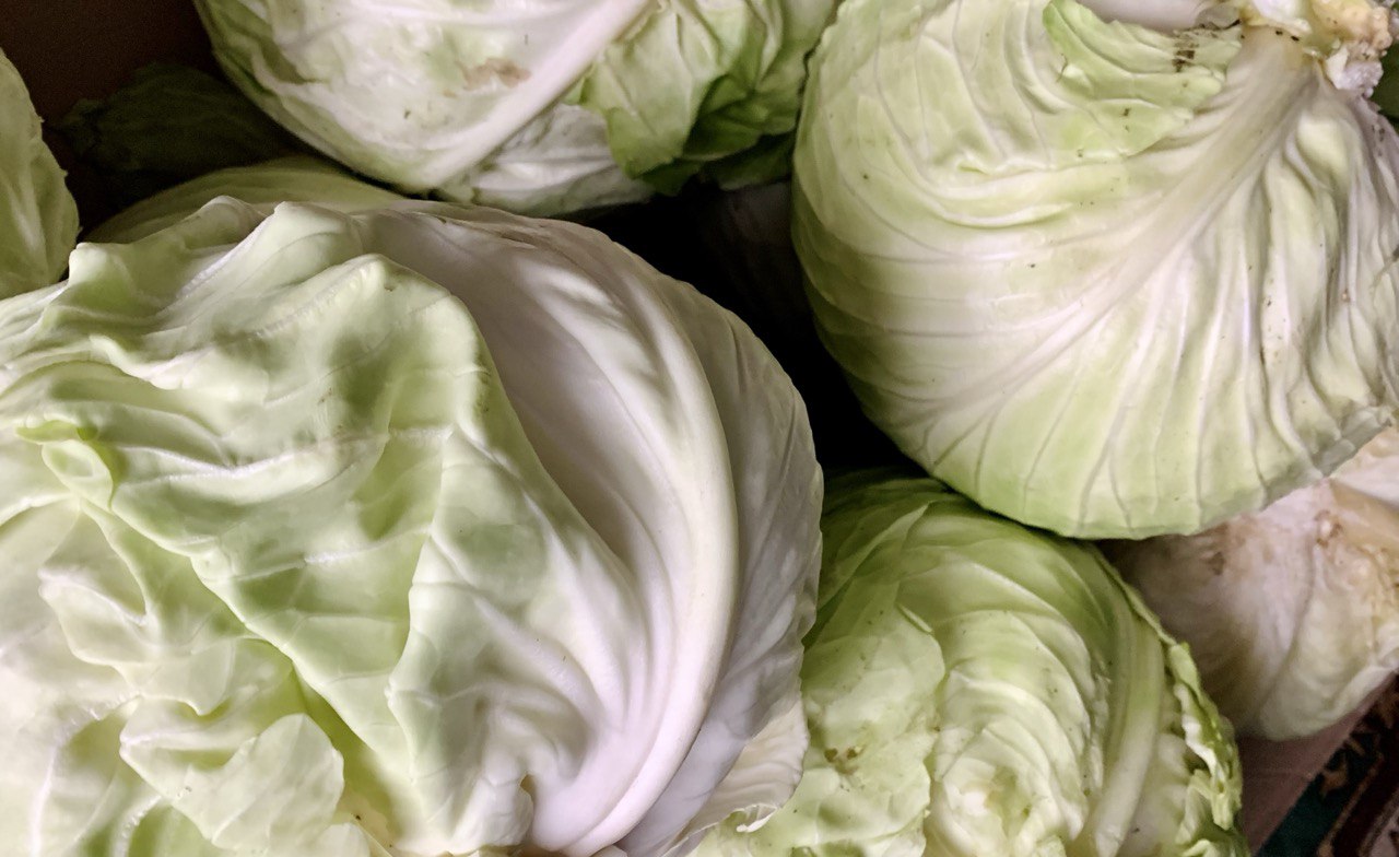 сезонные овощи, капуста