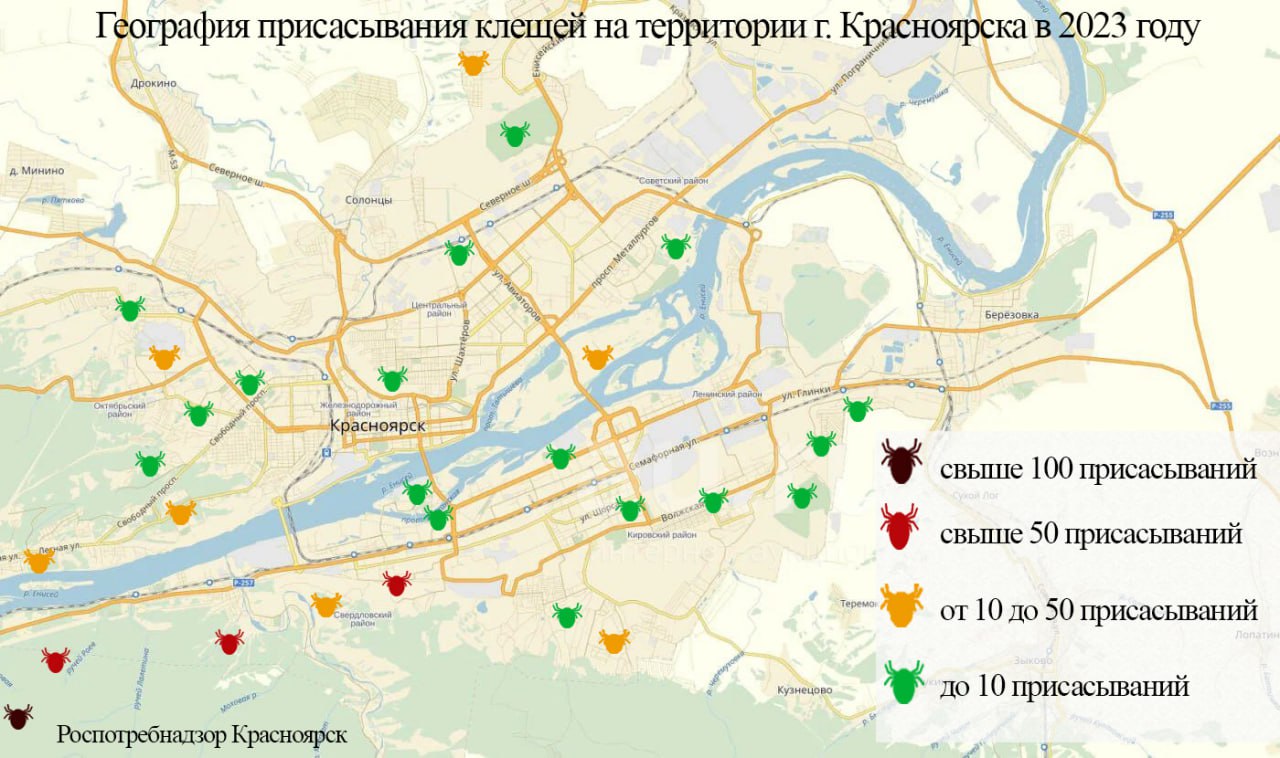 карта присасывания клещей