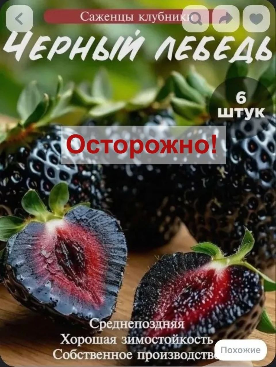 Фальшивая клубника объявл Фальшивая клубника объявл