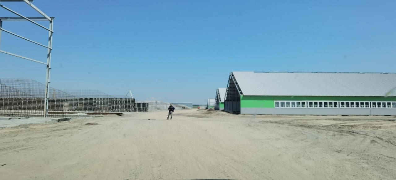 На юге Красноярского края возводят молочный комплекс на 2600 коров