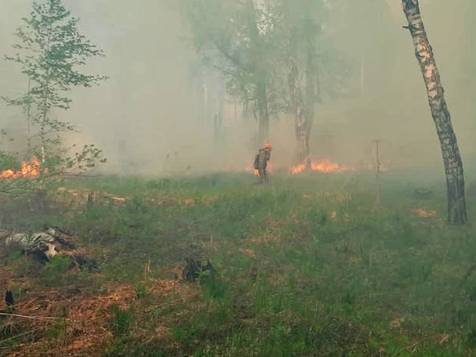 Пожары в лесах