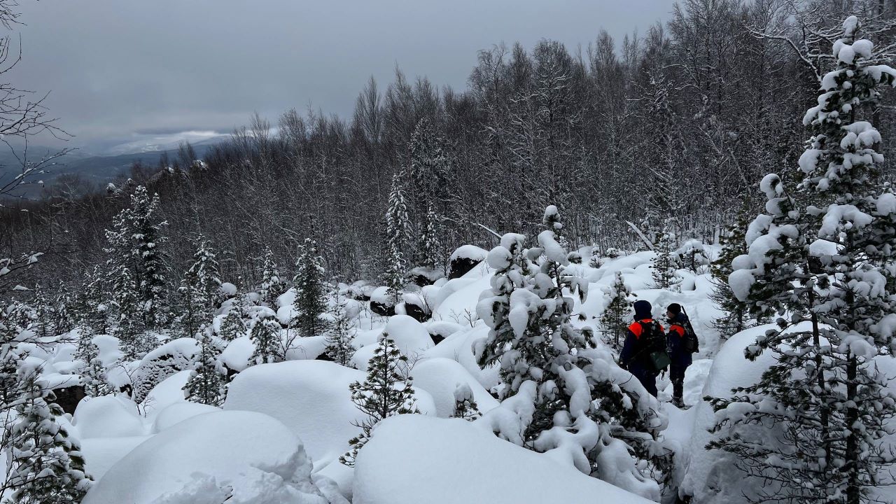 Поиск семьи Усольцевых Поиск семьи Усольцевых